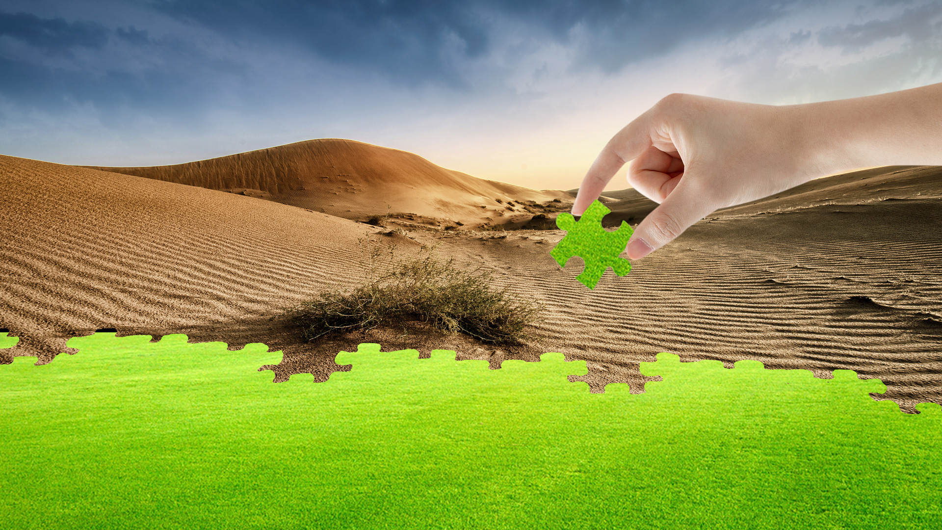 環保全方位服務管家